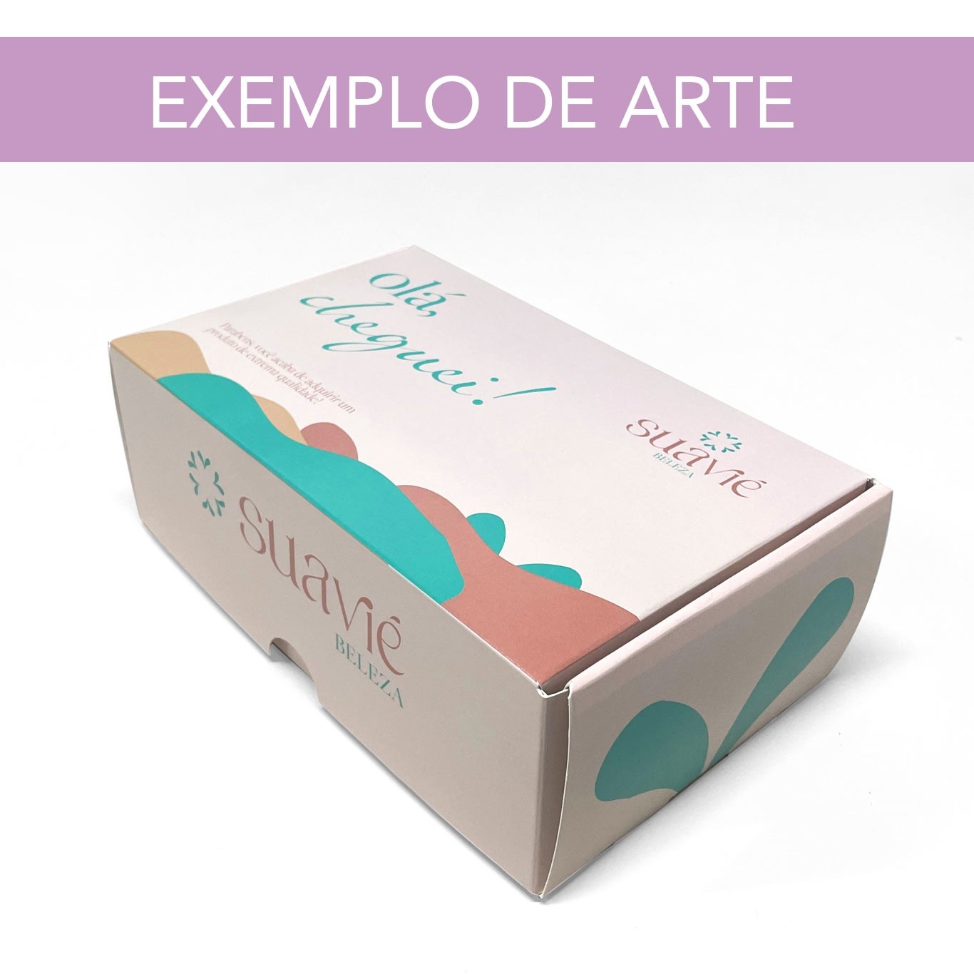 Loja de Embalagens com Modelos Criativos e Exclusivos Caixa ...